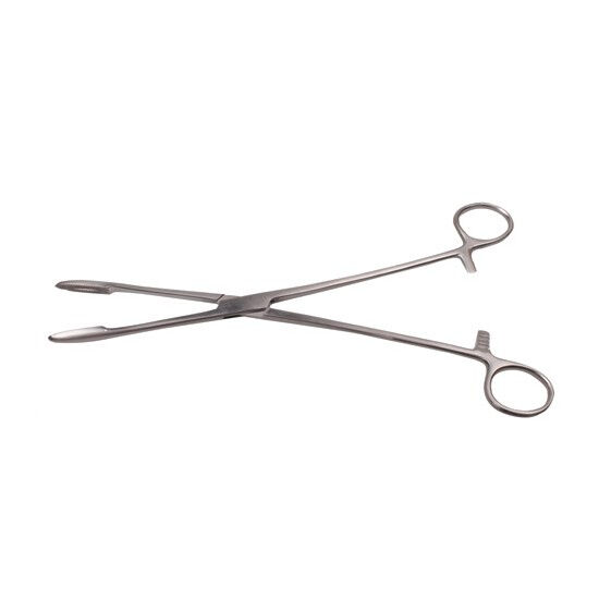 Gebogen koorntang gross-maier 25cm - afbeelding 0