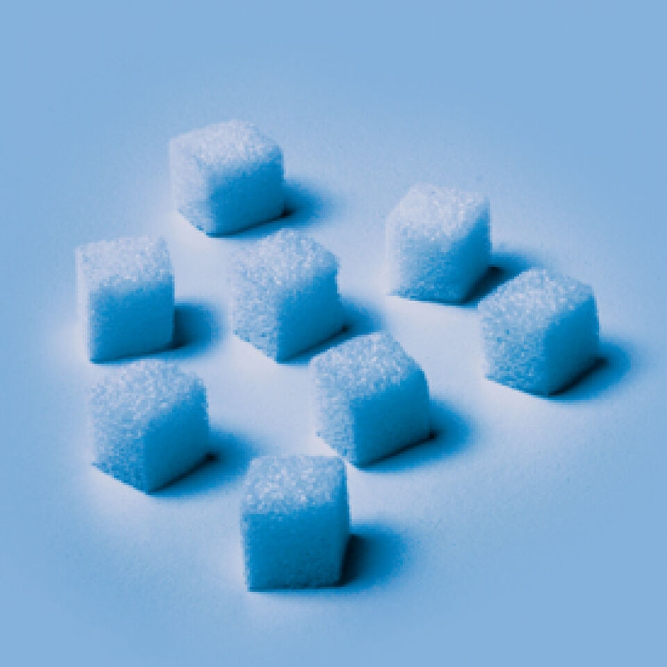 Gelatinespons spongostan