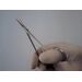 Mosquito-Halstead arterieklem gebogen 12cm anatomisch - afbeelding 0