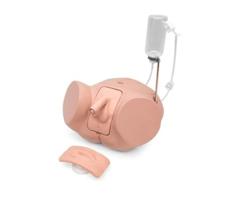 Katheterisatiemodel man/vrouw PRO