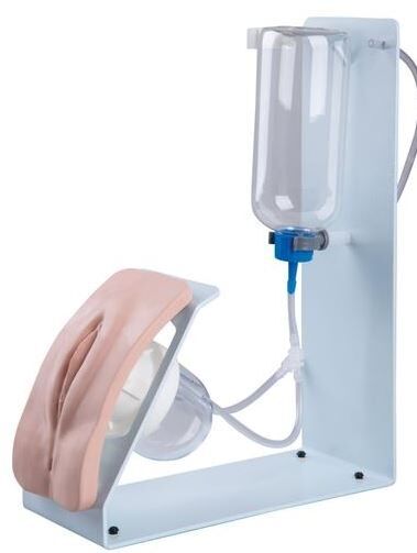 Katheterisatie fantoom vrouw - afbeelding 1