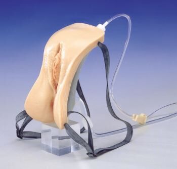 Draagbaar katheterisatietrainer mannelijk per stuk - afbeelding 0