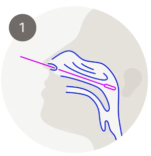 Roche Covid en influenza antigeen sneltest per 25st.  - afbeelding 2